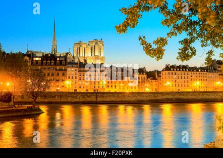 Frankreich, Paris, die Ufer der Seine, Weltkulturerbe der UNESCO, die Kathedrale Notre Dame auf der Ile De La Cite Stockfoto