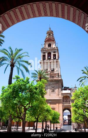 Spanien, Andalusien, Cordoba, Altstadt Weltkulturerbe von UNESCO, Cordoba Moschee Mezquita de C≤rdoba Stockfoto