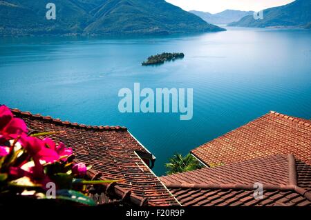 Schweiz, Lago Maggiore, Ticino, Locarno Bezirk, Brissago Inseln von Ronco Dorf gesehen Stockfoto