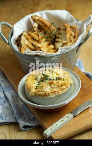 Gebackener Camembert Käse mit Knoblauch Toast, in der Regel als Vorspeise in einem 3-Gänge-Menü serviert. eine UK Backen Essen Essen Essen Stockfoto