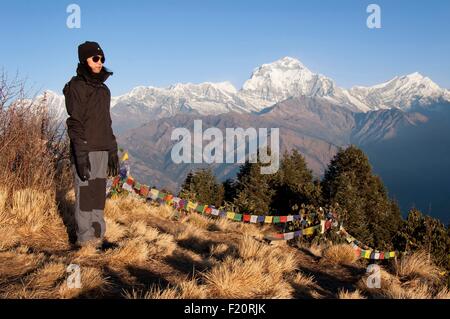 Nepal, Gandaki, Annapurna Region, Ghorepani, Trekker, beobachten den Sonnenaufgang vom Poon Hill, Gipfel der Dhaulagiri (8167m) im Hintergrund Stockfoto