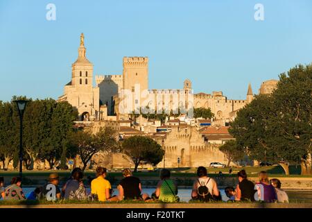 Frankreich, Vaucluse, Avignon, Doms Kathedrale (12. Jahrhundert) und der Palast der Päpste klassifiziert Weltkulturerbe der UNESCO in der Insel Barthelasse Stockfoto