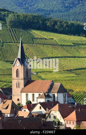 Frankreich, Haut Rhin, Route des Vins d ' Alsace, Rodern, das Dorf und die Weinberge rund um Stockfoto