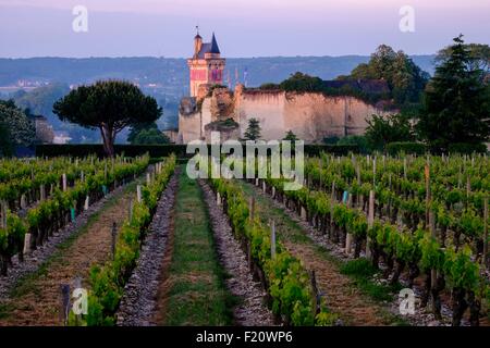 Frankreich, Indre et Loire, Chinon, aufgeführt als Wort Erbe der UNESCO, Burg Chinon, der Clock Tower Stockfoto