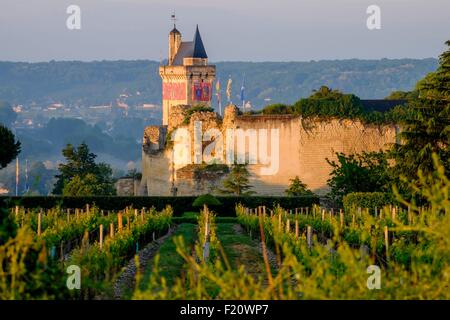 Frankreich, Indre et Loire, Chinon, aufgeführt als Wort Erbe der UNESCO, Burg Chinon, der Clock Tower Stockfoto