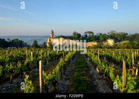 Frankreich, Indre et Loire, Chinon, aufgeführt als Wort Erbe der UNESCO, Burg Chinon, der Uhrturm unter Weinberg Stockfoto