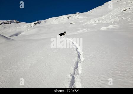 Schweiz, Tessin, Val Maggia, Ski Touren über Bosco Gurin einer deutschsprachigen Dorf mitten in der italienischen Schweiz Stockfoto