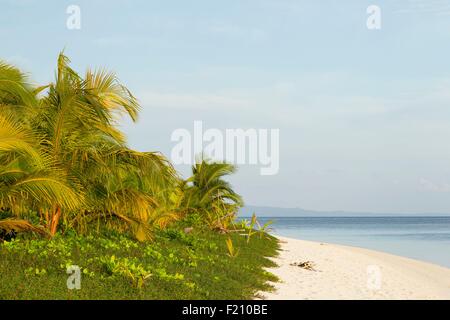 Indonesien, Provinz Maluku, East Seram, Koon Insel am Meer Stockfoto