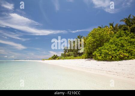 Indonesien, Provinz Maluku, East Seram, Koon Insel am Meer Stockfoto