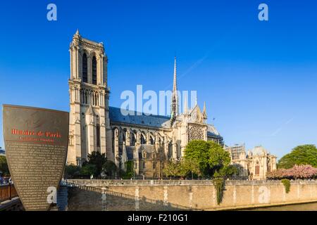 Frankreich, Paris, die Kathedrale Notre-Dame Stockfoto