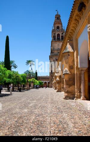 Spanien, Andalusien, Cordoba, Altstadt Weltkulturerbe von UNESCO, Cordoba Moschee Mezquita de C≤rdoba Stockfoto