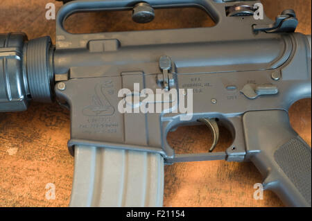 Bushmaster AR-15 Sturmgewehr mit 30 Runde 5.56mm Magazin, Closeup in Windham ME gemacht Stockfoto