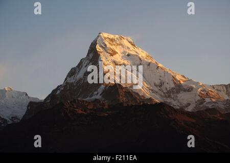 Nepal, Gandaki, Annapurna Region, Ghorepani, Annapurna Süd (7219m) von Poon Hill bei Sonnenaufgang gesehen Stockfoto