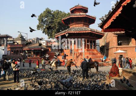 Nepal, Kathmandu-Tal, Kathmandu Durbar Square aufgeführt als Weltkulturerbe der UNESCO, Tauben am Durbar Square (Archiv) Stockfoto