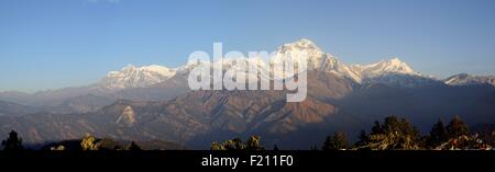 Nepal, Gandaki, Annapurna Region, Ghorepani, Dhaulagiri (8167m), 7. höchste Berg von Poon Hill gesehen Stockfoto