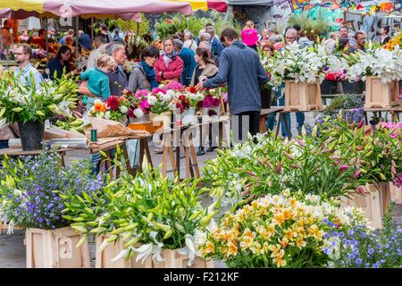 Frankreich, Ille et Vilaine, Rennes, Place des Lices, täglicher Markt aus dem frühen 17. Jahrhundert, Florist Stockfoto