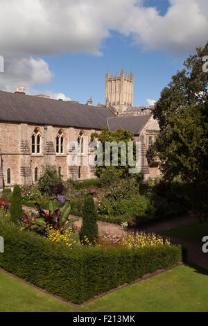 Wells, Somerset - Palast aus dem 13. Jahrhundert Bischöfe und Gärten mit Brunnen-Kathedrale im Hintergrund, Wells, Somerset UK Stockfoto