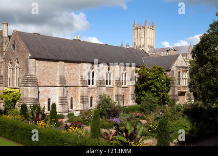 Das 13. Jahrhundert mittelalterliche Bischofspalast und Gärten, mit dem Dom im Hintergrund, Wells, Somerset England UK Stockfoto