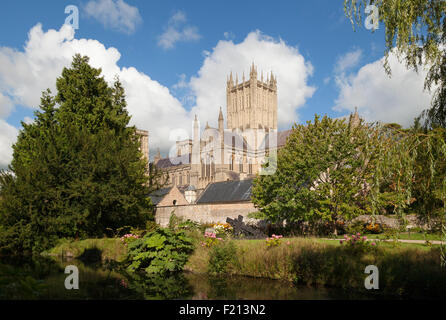 Wells Cathedral Ansicht aus dem Graben in den Bischofspalast Gärten, Wells, Somerset England UK Stockfoto