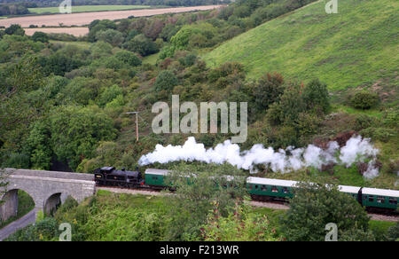 Dampfmaschine und Zug in der Nähe von Corfe Castle Stockfoto