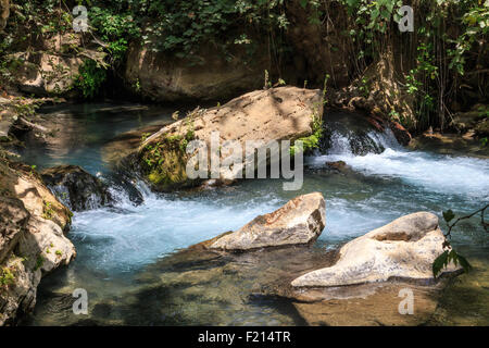 Stream Bahias (Hermon), National Reserve, Israel. Golan-Höhen. Stockfoto