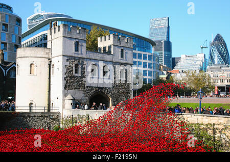 England London Tower Hamlets Tower of London rote Keramik Mohn Kunstinstallation von Künstlern, die unter dem Titel Paul Cummins und Tim Piper Stockfoto