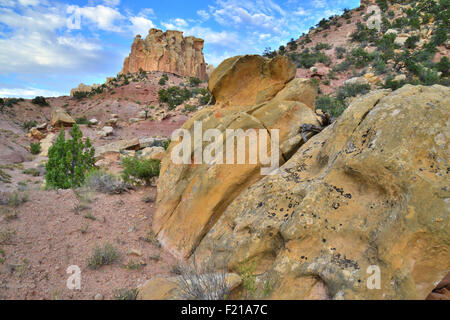 Schluchtwänden entlang Burr Trail Road (Boulder Notom Road) im Grand Staircase Escalante National Monument im Süden Utahs Stockfoto