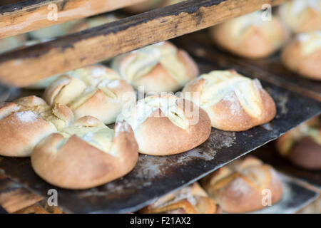 Mexiko, Santa Rosalia. Panaderia El Boleo. Bild von frisch zubereiteten waren. Stockfoto