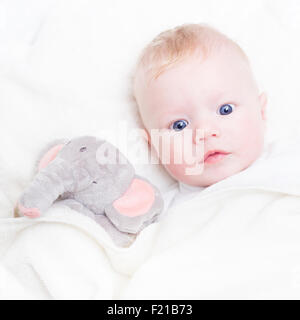 Baby mit Plüschtier. Stockfoto