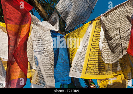 Indien, Sikkim, Gangtok, farbige hell buddhistische Gebetsfahnen flattern im Wind. Stockfoto