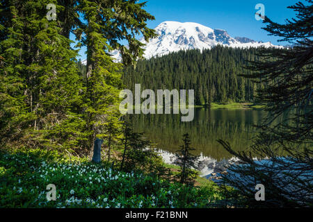 Spiegelung See, Mt. Rainier. Stockfoto