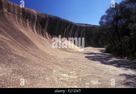 Wave Rock (auch bekannt als Hyden Rock) 296 km Ost Süd östlich von Perth, Western Australia Stockfoto