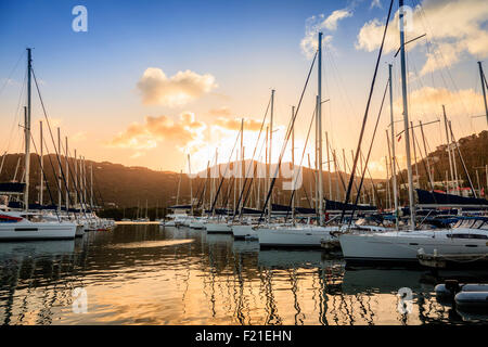 Segelboote in einer Marina in Wickhams Cay II auf Tortola in Britische Jungferninseln Stockfoto