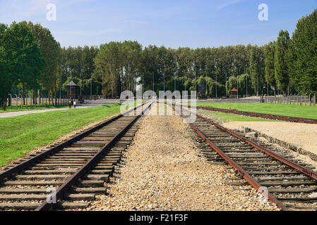 Polen Auschwitz-Birkenau Museum Birkenau KZ Staatsbahn Spuren führen zum Bereich, wo die Krematorien waren Stockfoto