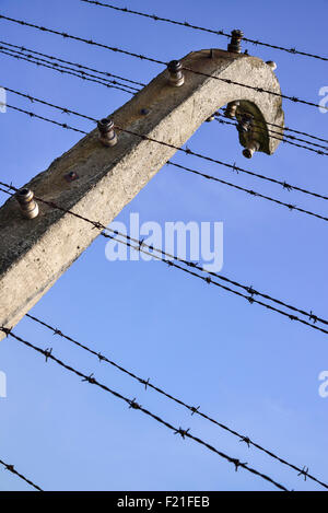 Polen Auschwitz-Birkenau State Museum Birkenau KZ Nahaufnahme von umliegenden Ruinen des ehemaligen Fechten Stacheldraht Stockfoto