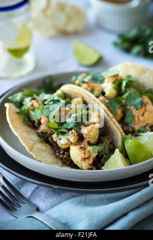 Würzige Linsen und gerösteten Blumenkohl tacos Stockfoto