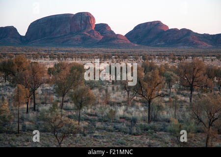 Kata Tjuta / The Olgas, Northern Territory, Australien Stockfoto