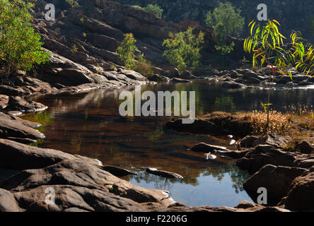 Leliyn (Upper Edith Falls) im Nitmiluk National Park Stockfoto