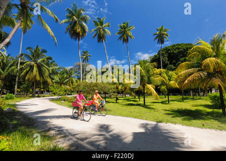 Palmen Sie im Nationalpark, La Digue Island, Seychellen. Stockfoto