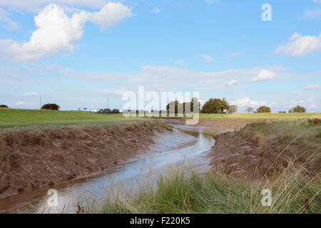 Ebbe am Fluss Nene auf Foul Anchor, Wisbech in Cambridgeshire, schlammigen Flussufer enthüllt. Stockfoto