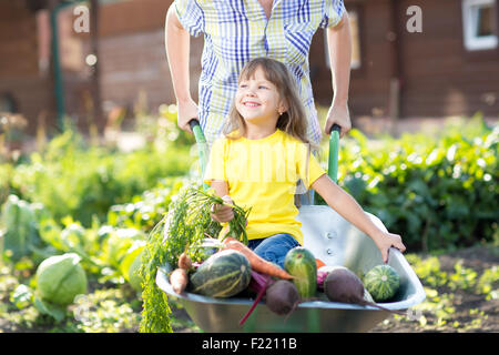 Kleines Mädchen sitzt in der Schubkarre mit Gemüse-Ernte im Garten Stockfoto