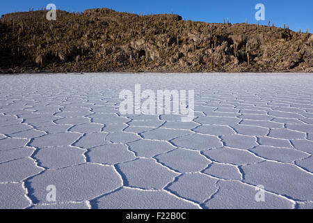 Fisch-Insel (Isla del Pescado). Salar de Uyuni. Bolivien Stockfoto