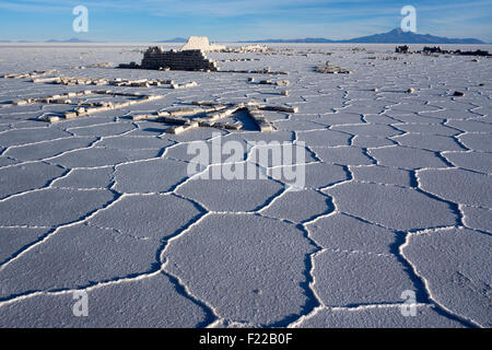 Salz Sechsecke. Salar de Uyuni. Bolivien Stockfoto