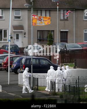 Ahoghill, Co. Antrim, Nordirland. 10. September 2015. Polizei und Forensik an der Szene eines doppelten Rohrbombe Angriffs in Brookefield Gärten, Ahoghill. Zwei Geräte explodierte über Nacht schädigende Eigenschaft. Einwohner aus der Gegend wurden evakuiert. untersucht den Vorfall weiter. PIC Steven McAuley/McAuley Multimedia/Alamy Live News Stockfoto