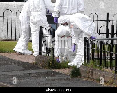 Ahoghill, Co. Antrim, Nordirland. 10. September 2015. Polizei und Forensik an der Szene eines doppelten Rohrbombe Angriffs in Brookefield Gärten, Ahoghill. Zwei Geräte explodierte über Nacht schädigende Eigenschaft. Einwohner aus der Gegend wurden evakuiert. untersucht den Vorfall weiter. PIC Steven McAuley/McAuley Multimedia/Alamy Live News Stockfoto