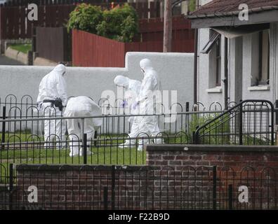 Ahoghill, Co. Antrim, Nordirland. 10. September 2015. Polizei und Forensik an der Szene eines doppelten Rohrbombe Angriffs in Brookefield Gärten, Ahoghill. Zwei Geräte explodierte über Nacht schädigende Eigenschaft. Einwohner aus der Gegend wurden evakuiert. untersucht den Vorfall weiter. PIC Steven McAuley/McAuley Multimedia/Alamy Live News Stockfoto