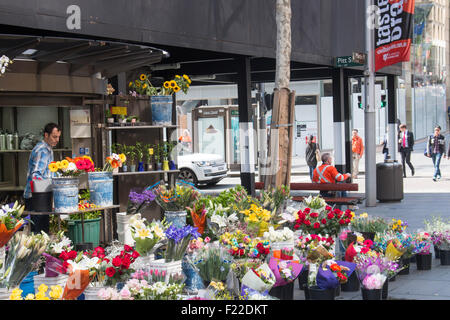 Mann, Verkauf von Blumen aus seinem Stall in Martin Place, Sydney, Australien Stockfoto