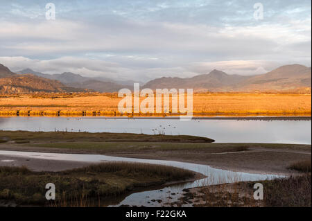 Porthmadog, Gwynedd, Nordwales, Großbritannien. Abendlicht auf den Bergen von Eryri (Snowdonia) und der Afon Glaslyn-Mündung Stockfoto