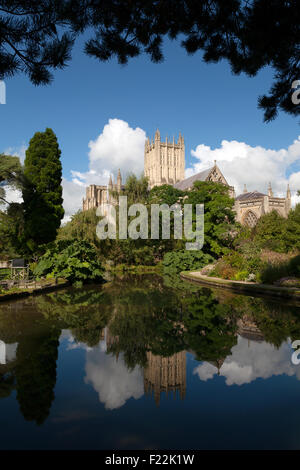 Wells Cathedral, 12. Jahrhundert mittelalterliche Gebäude, gesehen von den Pools gut im Schlossgarten Bischöfe Wells Somerset England UK Stockfoto