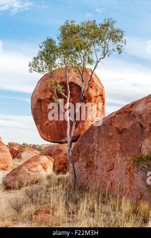 Karlu Karlu oder Devils Marbles - Felsen in der Nähe von Tennant Creek den Eiern von den Regenbogen-Schlangen sind, sagen die Aborigines Stockfoto